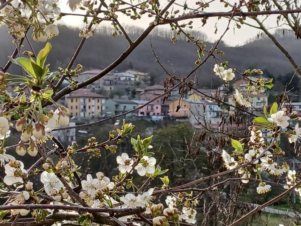 Casa Vacanze "Ellen" Bianchi Eksteriør bilde
